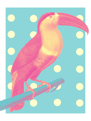 The Tropical Polka Dot Neon Toucan von Marja van den Hurk