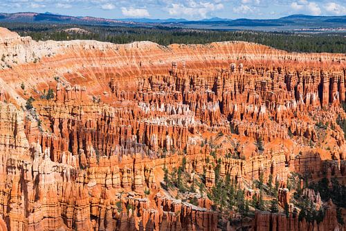 Een fantastisch uitzicht op Bryce Canyon National Park in Amerika