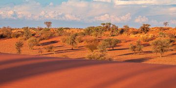 Kalahari desert, Namibia by Antwan Janssen