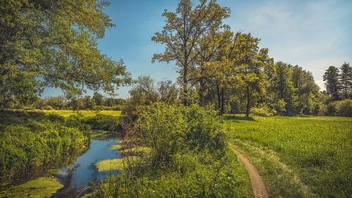 Spreewald [II} van rosstek ®