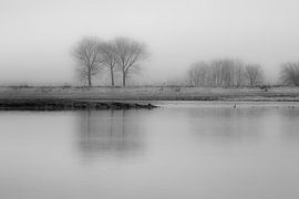 Landschaft im Nebel.