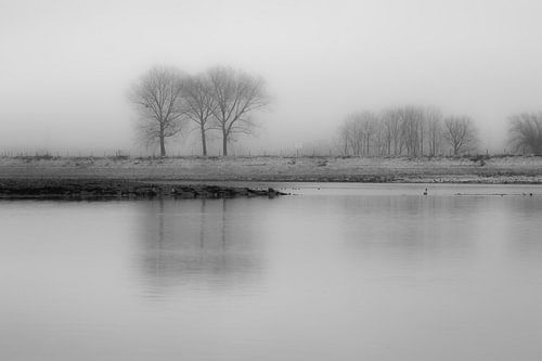 Landschap in de mist.