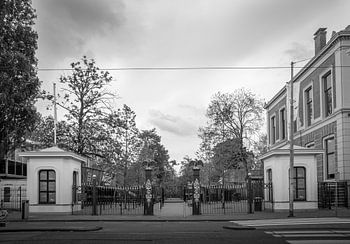 Plantage Kerklaan - Artis