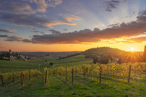 Sonnenuntergang über den Weinbergen mit der Abtei Badia a Passignano, Chianti