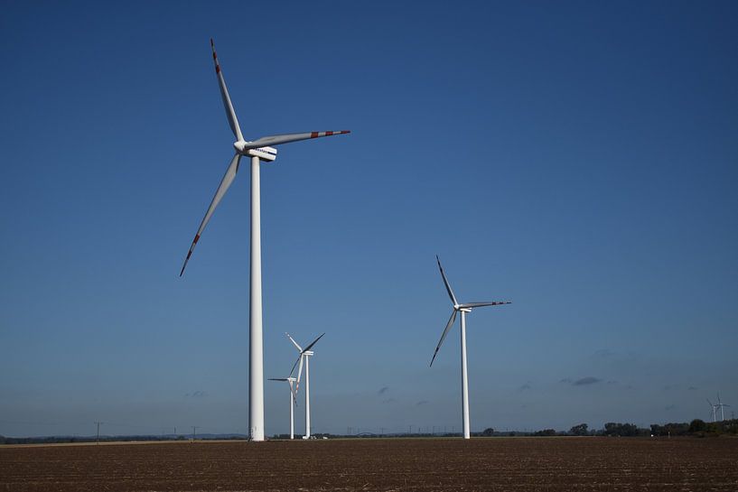 Windmolens van Marleen Mertens