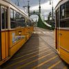 Trams in Budapest von Leanne lovink