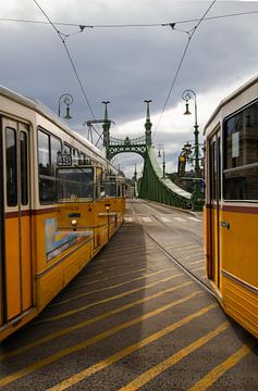 Trams in Budapest van Leanne lovink