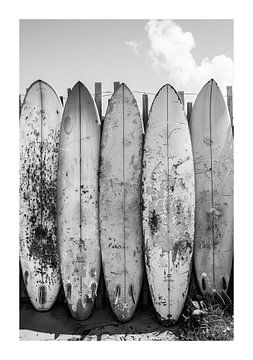 Series of used surfboards in black and white by Felix Brönnimann