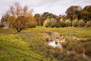 Herbst um Selzerbeek in Wahlwiller