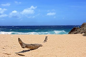 caraibisch strand van gea strucks