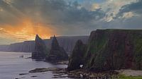 Blick auf die Duncansby Head Stacks von Babetts Bildergalerie Miniaturansicht