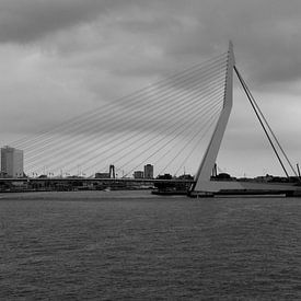 Erasmus brug van Jan Linschoten