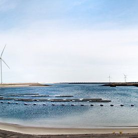 Panorama windmolens sur Elles Roelofs
