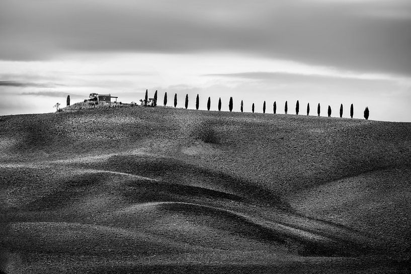 Zypressenweg mit Hügeln und Feldern in der Toskana in schwarzweiß von Manfred Voss, Schwarz-weiss Fotografie