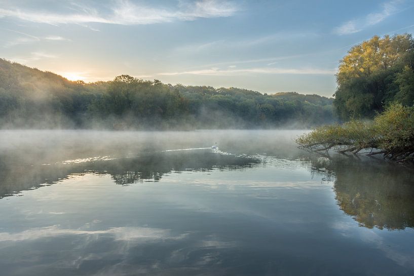 Sunrise at the Cranenweyer with swan and fog by John van de Gazelle fotografie