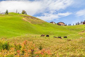 Um Warth in Österreich von Achim Prill