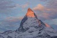 Morgenrot Alpenglühen am Matterhorn von Martin Steiner Miniaturansicht