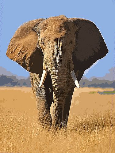 L'éléphant majestueux