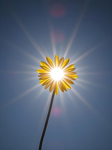 L'art de la nature