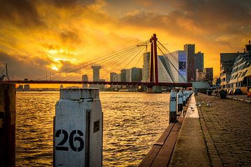 Zonsondergang bij de Maas in Rotterdam van Javier Alonso