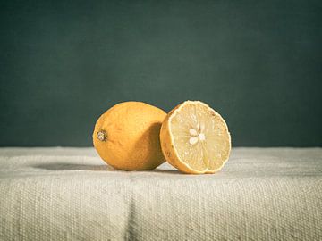 still life of dried lemon by Mariska Vereijken