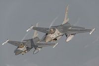 2 Belgische F-16's van de Thunder Tigers.