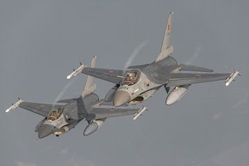 2 F-16's van de Belgische Luchtmacht die deel uitmaken van de Thunder Tigers mooi in het zonnetje va van Jaap van den Berg