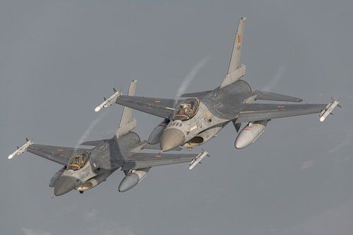 2 F-16s of the Belgian Air Force which are part of the Thunder Tigers are captured on photo.