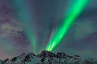 Aurore boréale ou Aurora Borealis sur les montagnes enneigées de l'hiver par Sjoerd van der Wal Photographie Aperçu