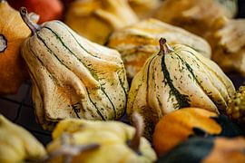 verschiedene Kürbissorten und Zierkürbisse in einer Kiste auf einer Kürbisfarm von Margriet Hulsker