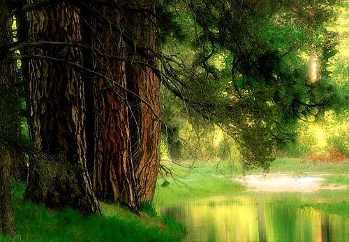 my favorite place in nature where I like to stay.