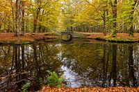 't Oude Hof in Bergen with trees in autumn colour and a little bridge