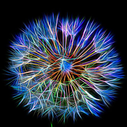 Neon paardenbloem