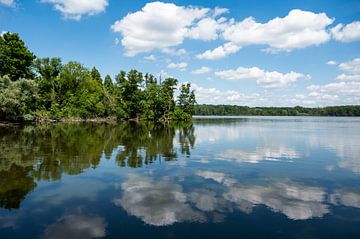 Natuurlijke reflecties aan het Krickenbecker meer, Noordrijn-Westfalen van Werner Lerooy