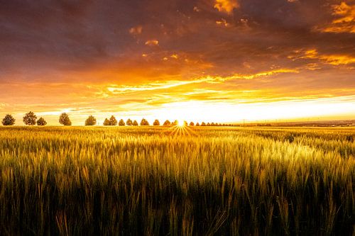 Als de zon opgaat...