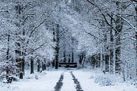 Winter in het Nietapsterbos bij de Meester Postumabank van Hessel de Jong thumbnail
