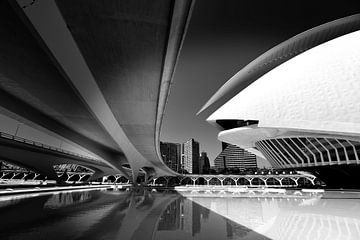 Urban Lines, Valencia (zwart-wit) van Rob Blok