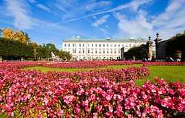 Pink flower magic in Mirabell Gardens by Christa Kramer