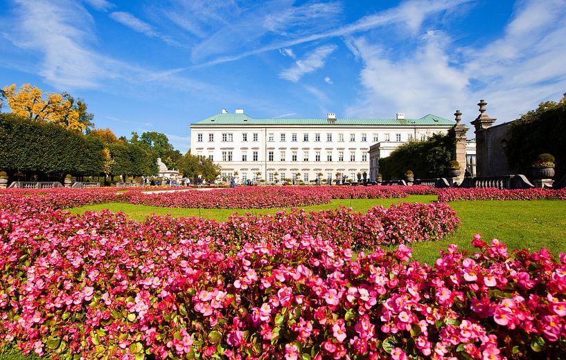 Pink flower magic in Mirabell Gardens by Christa Kramer