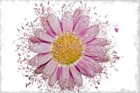 Digitale Malerei Marguerite
