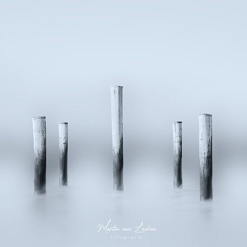 Palendorp Petten - 4