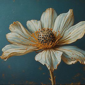 A still life of a poppy on dark background. by J.a Dijkstra