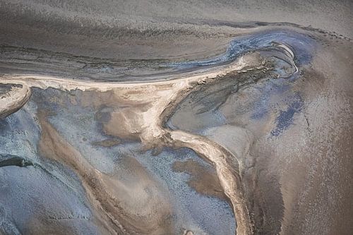 Das weiße Pferd der Camargue