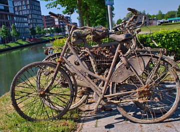 Wörtlich: "Auf einem alten Fahrrad muss man lernen. von Jolanda de Jong-Jansen