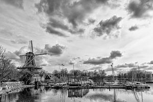 Molen de Ster aan de Kralingse Plas. van Don Fonzarelli