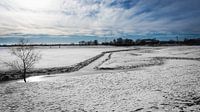 Sneeuw in de uiterwaarden