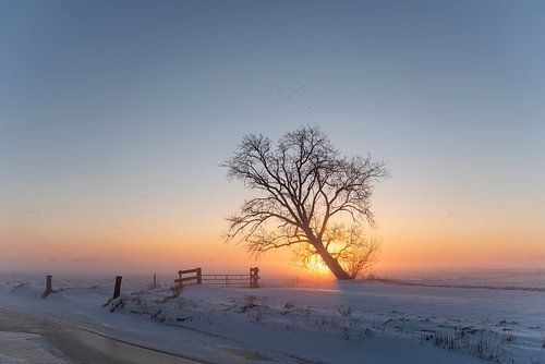 Sonnenaufgang in Mastenbroek von Erik Veldkamp