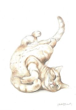 Ontspannen kat van Isabelle Brent