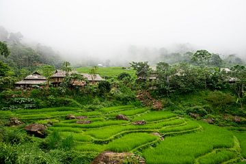 Berggipfel mit Reisfeldern in Pu Luong, Vietnam