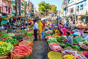 Boerenmarkt in Udaipur van resuimages